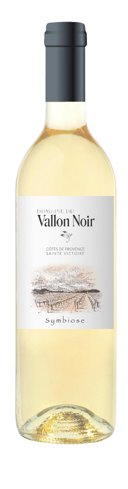 Domaine Du Vallon Noir - Symbiose Blanc BIO AOC Côtes de Provence