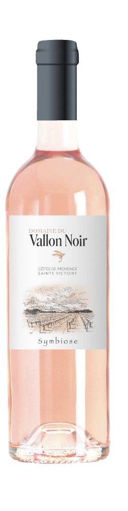 BIO Magnum 1,5L DOMAINE VALLON NOIR - Origine (Rosé) AOC Côtes de Provence