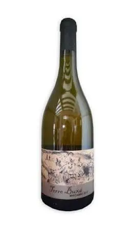 Domaine Arca - Terro Buxa - Macabeo IGP Côtes Catalanes